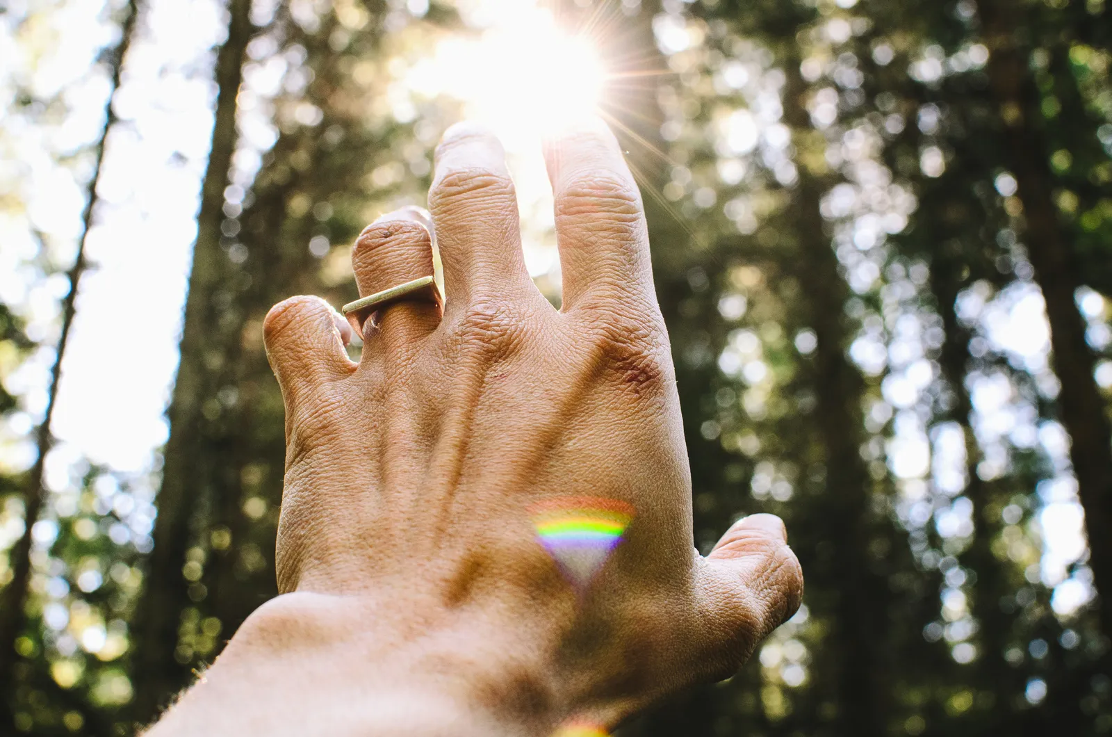 Nahaufnahme einer Hand, die sich gegen Sonnenstrahlen streckt, die durch das Blattdach eines Waldes fallen, als Symbol für spirituelle Aufmerksamkeit und kontemplatives Bewusstsein.