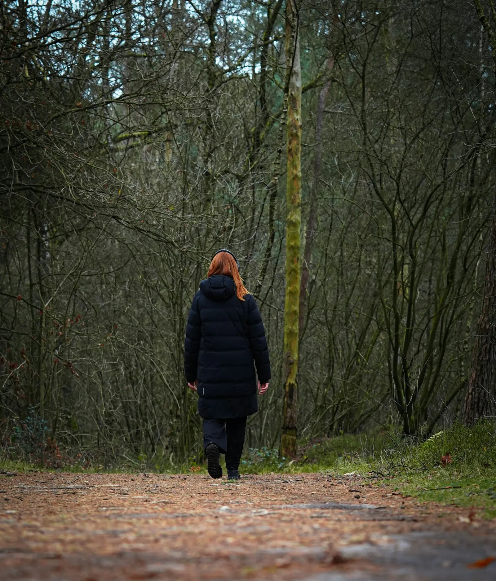 Eine Frau mit rotem Haar und langem dunklem Mantel geht von hinten gesehen allein einen Waldweg entlang. Rechts und links stehen kahle Bäume und Büsche, der Boden ist mit Laub bedeckt.