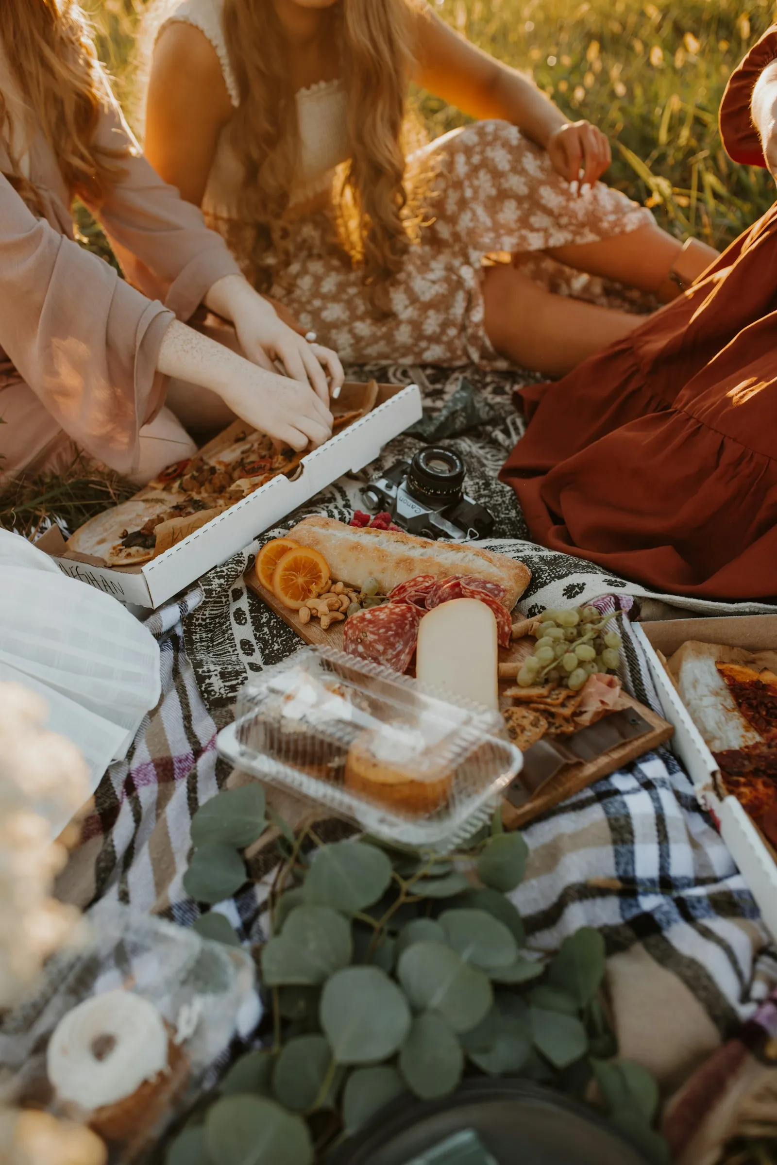 Auf einer karierten Picknickdecke im Gras liegen ein Brett mit Baguette, Salami, Käse und Orangenscheiben, Trauben und Pizzakartons. Ringsum sitzen Frauen in Kleidern, ihre Gesichter sind nicht zu sehen.