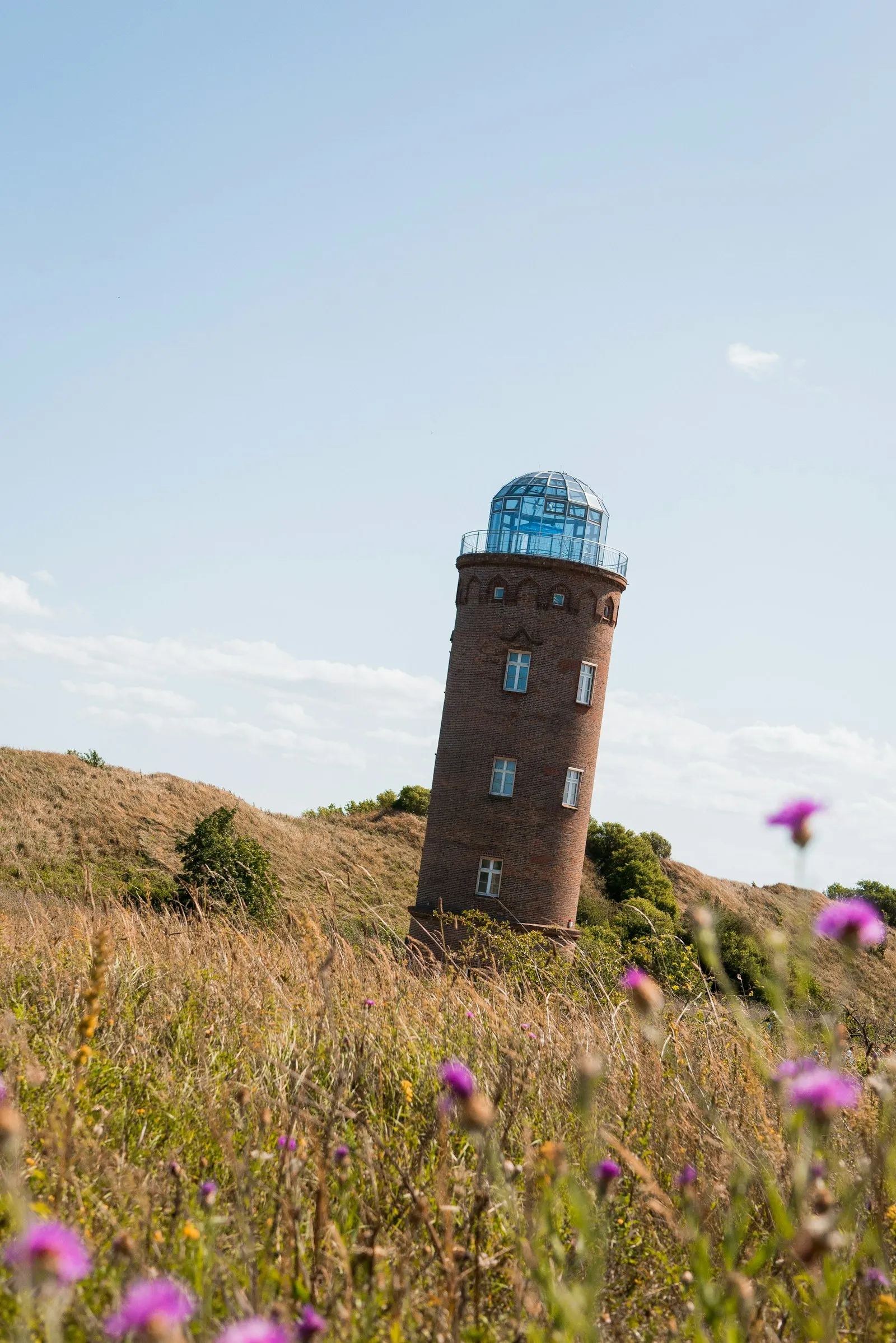 Der runde Marinepeilturm aus Backstein mit gläserner Kuppel steht schräg im Bild auf einem Hügel mit trockenem Gras und lila Disteln unter blauem Himmel am Kap Arkona.