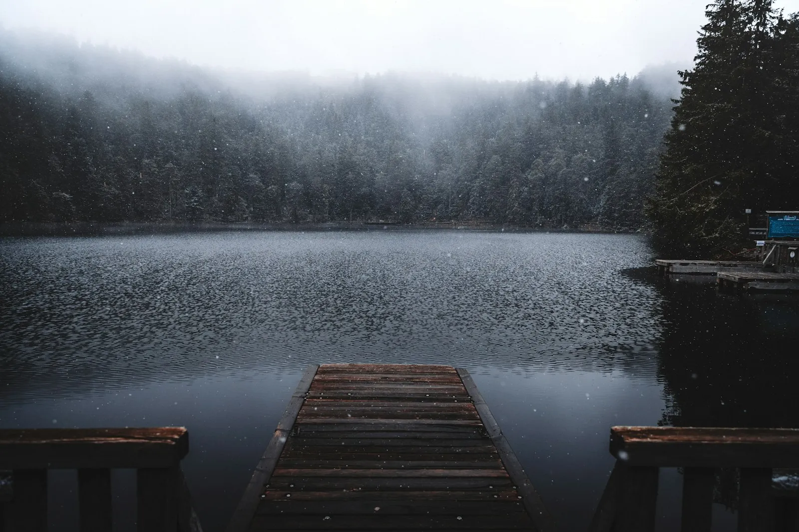 Ein Holzsteg führt bei Schneefall auf einen dunklen Bergsee im Schwarzwald, dahinter hängt Nebel im Tannenwald am gegenüberliegenden Ufer.