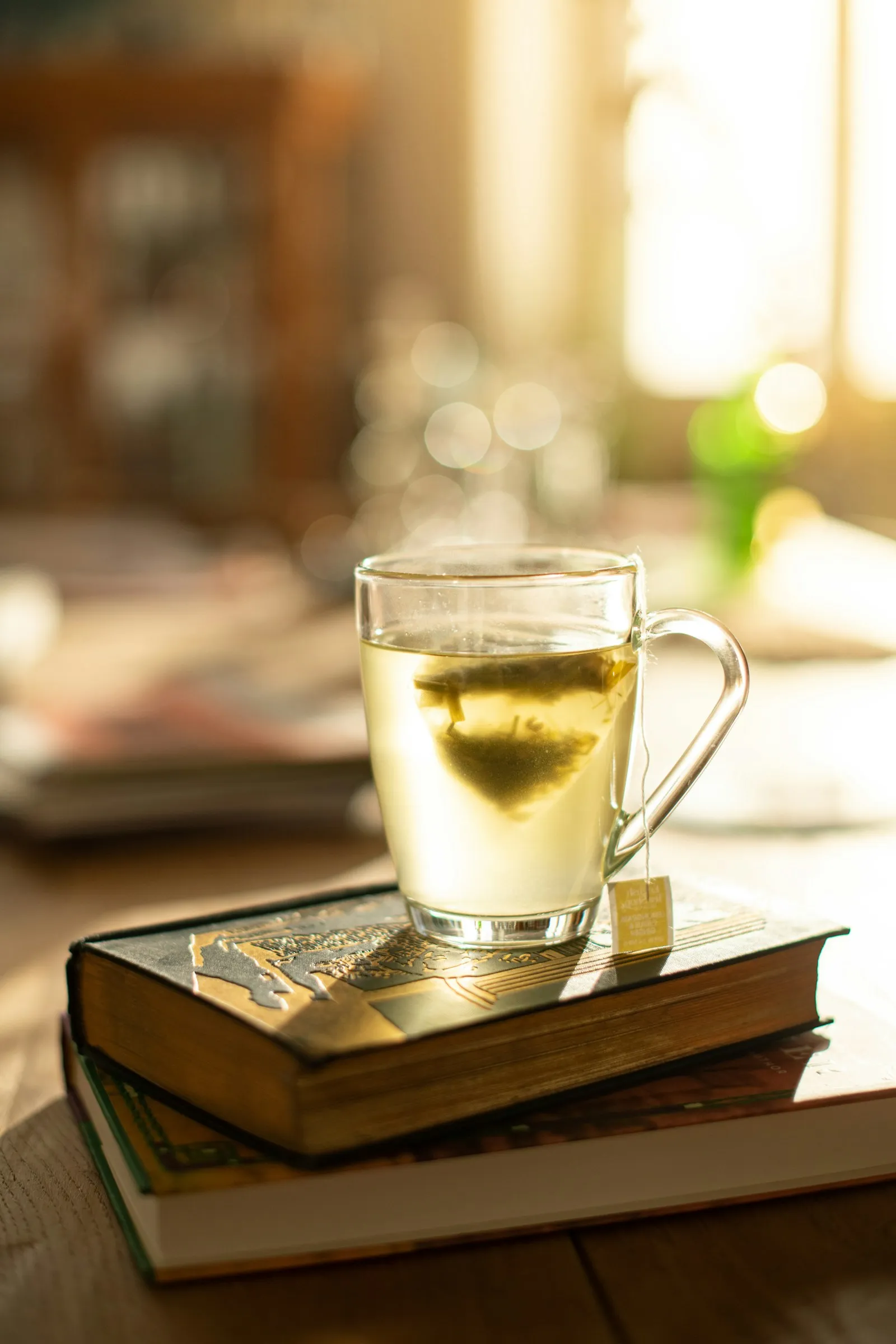 Ein Glasbecher mit dampfendem hellgrünem Tee und eingetauchtem Teebeutel steht auf zwei alten, gebundenen Büchern. Warmes Sonnenlicht fällt von hinten durch ein Fenster, der Hintergrund ist unscharf.