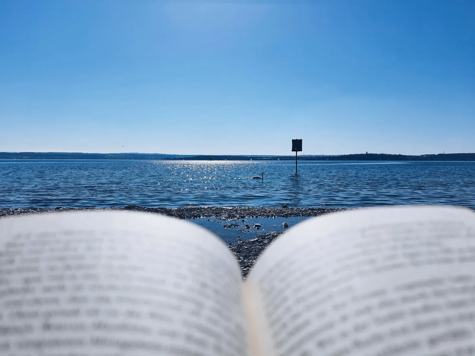 Ein aufgeschlagenes Buch im Vordergrund, dahinter ein ruhiger See unter wolkenlos blauem Himmel. Auf dem glitzernden Wasser schwimmt ein Schwan, am Ufer liegt grober Kies.