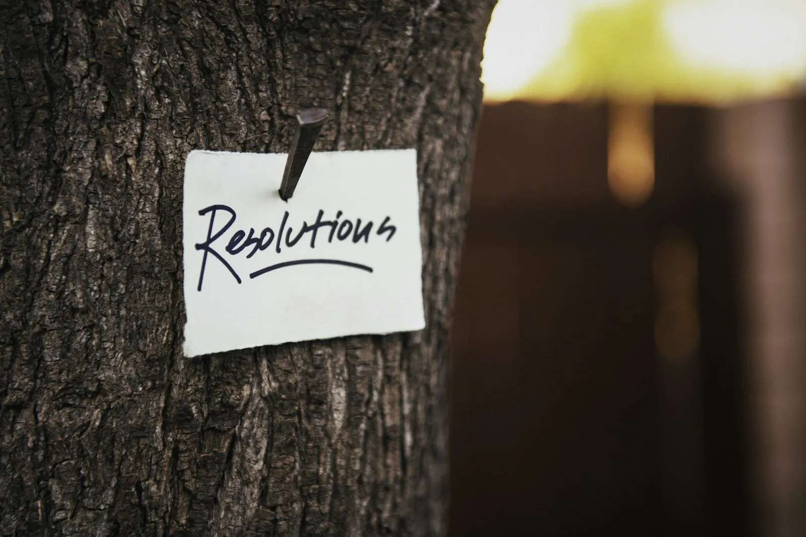 Ein handgeschriebener Zettel mit dem Wort "Resolutions" auf einem Baumstamm, in warmem Gegenlicht. Persönliche Verbindlichkeit, sichtbar gemacht.